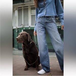 Zara Blue Wide Leg Jeans with Embellishments